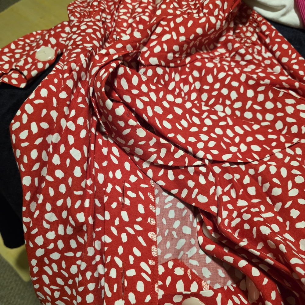 karin stevens Red and White Printed Dress